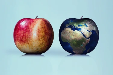 Was ist der Unterschied zwischen Quarz- und Automatikuhr? Was ist der Unterschied zwischen Quarz- und Automatikuhr?